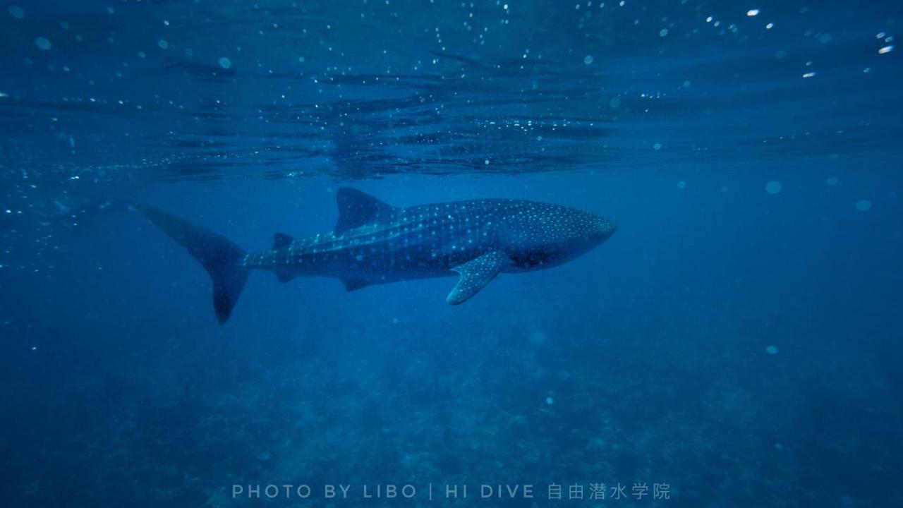 Ithaa Dhigurah Maldives Dhigurah (Alif Dhaal Atoll) Exterior foto